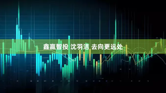 鑫赢智投 沈羽洁 去向更远处