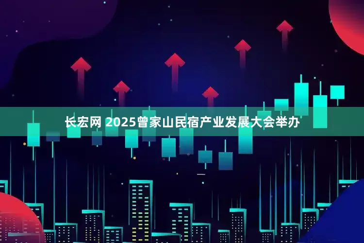 长宏网 2025曾家山民宿产业发展大会举办