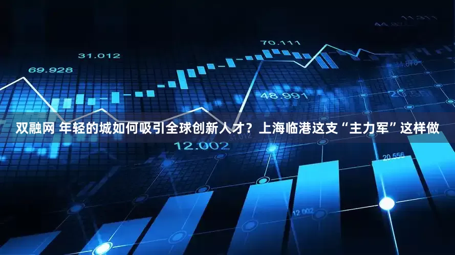 双融网 年轻的城如何吸引全球创新人才？上海临港这支“主力军”这样做
