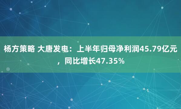 杨方策略 大唐发电：上半年归母净利润45.79亿元，同比增长47.35%