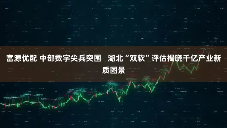 富源优配 中部数字尖兵突围   湖北“双软”评估揭晓千亿产业新质图景