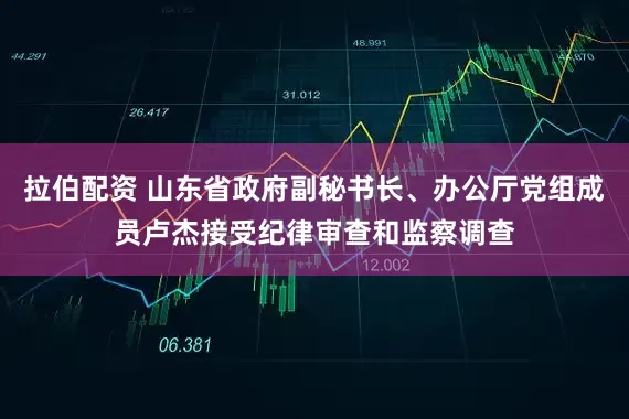 拉伯配资 山东省政府副秘书长、办公厅党组成员卢杰接受纪律审查和监察调查