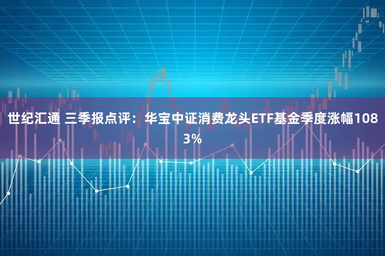 世纪汇通 三季报点评：华宝中证消费龙头ETF基金季度涨幅1083%