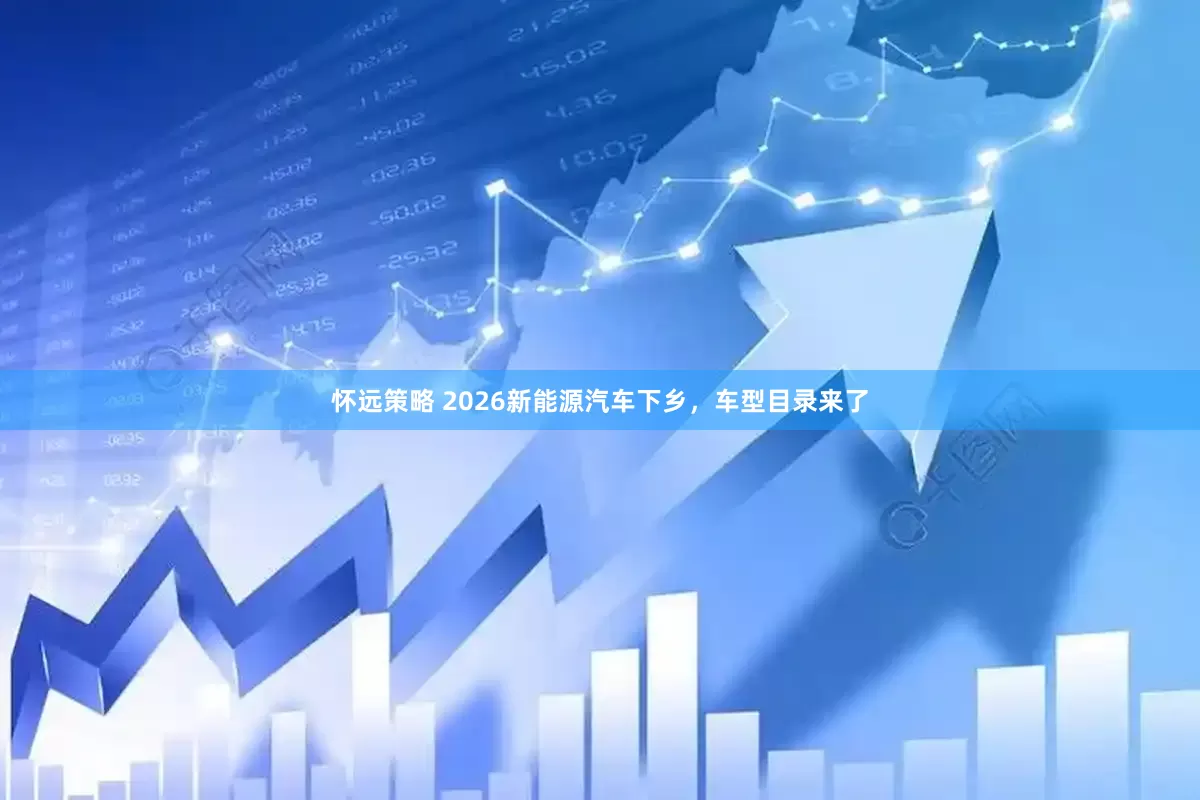 怀远策略 2026新能源汽车下乡,车型目录来了